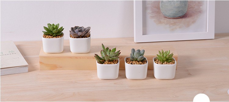 5 Gitterbox mit wei&szlig;em Keramikblumentopf