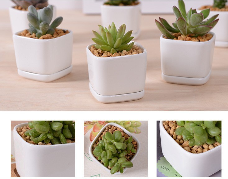 Pers&ouml;nlichkeit Mode Keramik Wei&szlig; Porzellan Basis Blumentopf