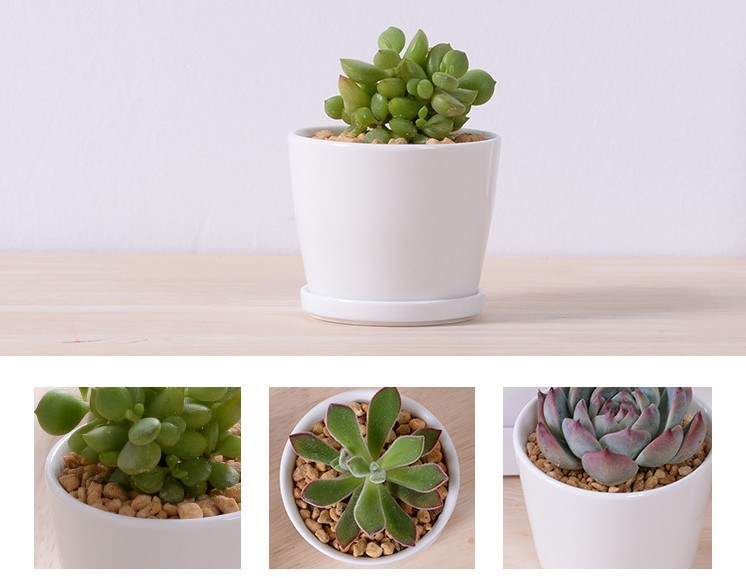 Freizeit Schreibtisch kleine runde Keramik kleine Blumenvase