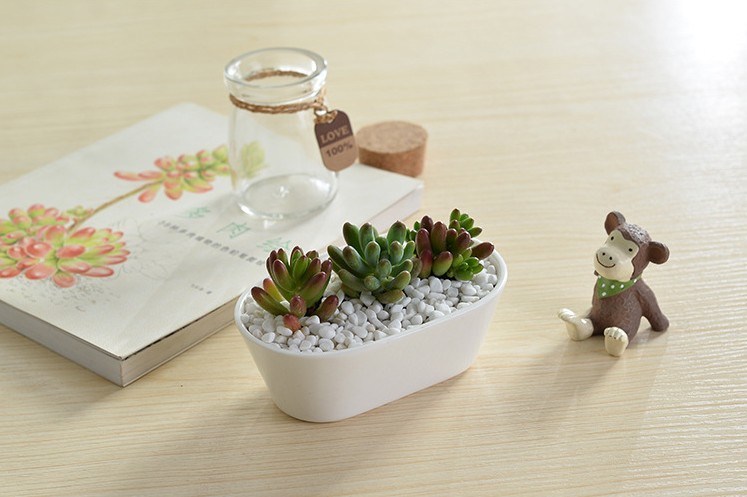 Couchtisch Schreibtisch Typ Keramik Blumentopf Wei&szlig;e Gans