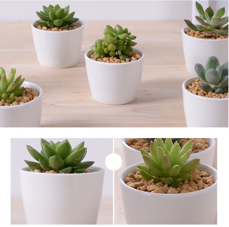 Gro&szlig;er runder Mini-Keramik-Blumentopf