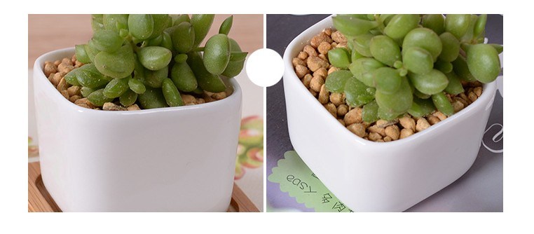 Kreative Desktop-Dekoration Mini White Ceramic Flower Pot