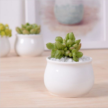 Kreative Desktop-Dekoration Mini Weiß Runde Keramik Blumentopf