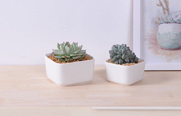 Tisch Couchtisch Circular Large Ceramic White Flowerpot