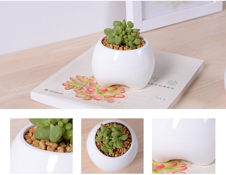 Kleiner zahnf&ouml;rmiger wei&szlig;er Blumentopf aus Keramik-Elfenbein