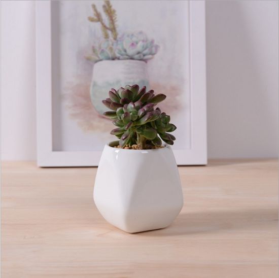 Keramik Weißer Blumentopf Mini Desktop Einrichtungsgegenstände