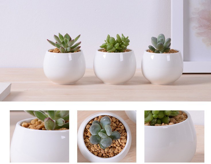 Kreativer quadratischer wei&szlig;er Keramik-Blumentopf