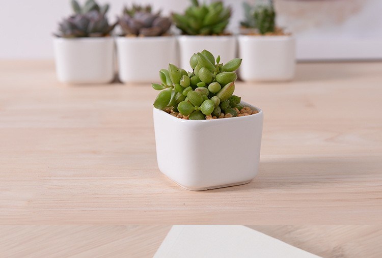 Kreative Desktop-Dekoration Mini White Ceramic Flower Pot