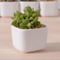 Kreative Desktop-Dekoration Mini White Ceramic Flower Pot