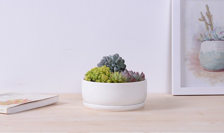 Runder Boden mit gro&szlig;em wei&szlig;en Keramikblumentopf