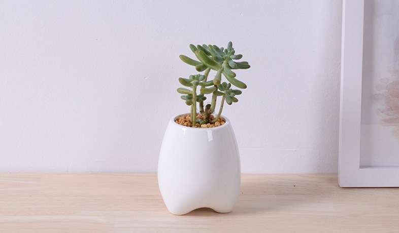 Elfenbein kreative Pers&ouml;nlichkeit Mode Keramik Blumentopf