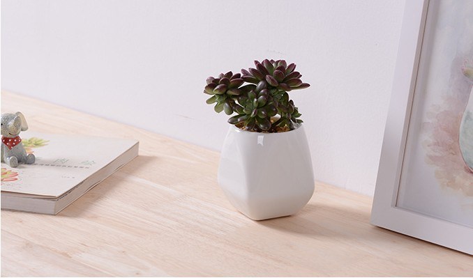 Keramik Wei&szlig;er Blumentopf Mini Desktop Einrichtungsgegenst&auml;nde