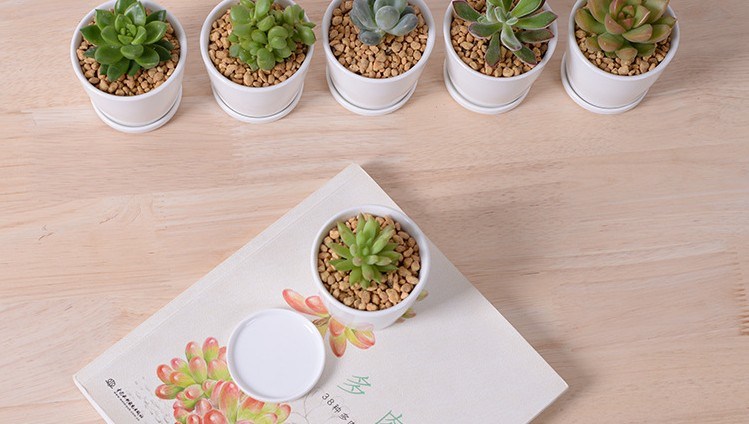 Freizeit Schreibtisch kleine runde Keramik kleine Blumenvase