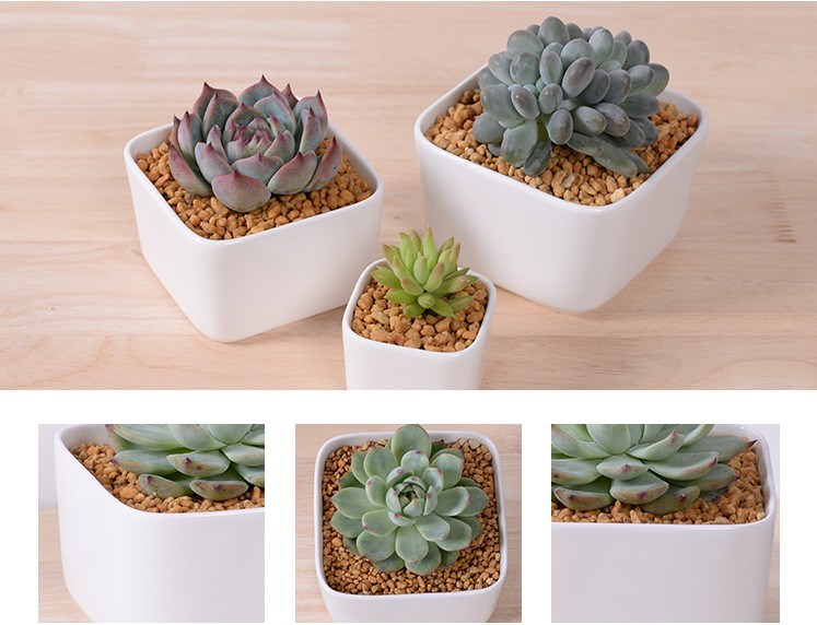 Tisch Couchtisch Circular Large Ceramic White Flowerpot