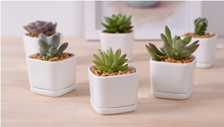 Pers&ouml;nlichkeit Mode Keramik Wei&szlig; Porzellan Basis Blumentopf