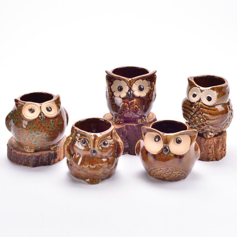 5 Design Keramik Cartoon Eule Pflanzer Porzellan Tier Blumentopf / C.