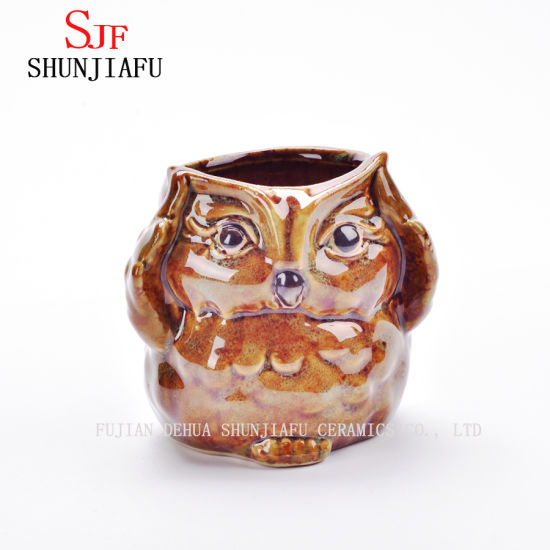 5 Design Keramik Cartoon Eule Pflanzer Porzellan Tier Blumentopf / C.