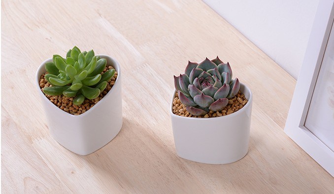 Dekorative Merkmale Pfirsichform Herzf&ouml;rmiger wei&szlig;er Blumentopf