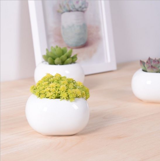 Kreativer quadratischer weißer Keramik-Blumentopf