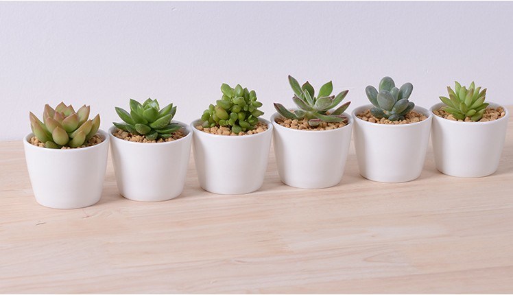 Dekorative Merkmale Pfirsichform Herzf&ouml;rmiger wei&szlig;er Blumentopf