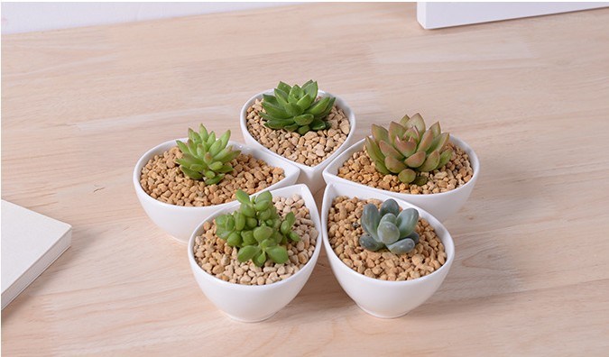 Schmuck charakteristische Pers&ouml;nlichkeit Desktop kleiner wei&szlig;er Blumentopf