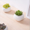 Mini Desktop Mini Keramik Blumentopf