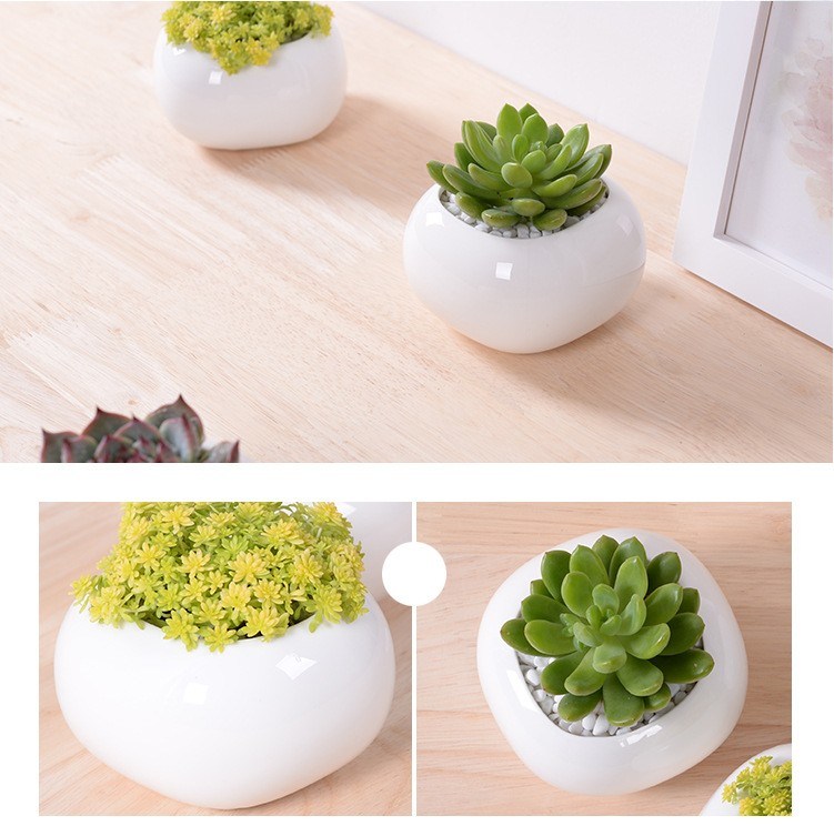 Mini Desktop Mini Keramik Blumentopf