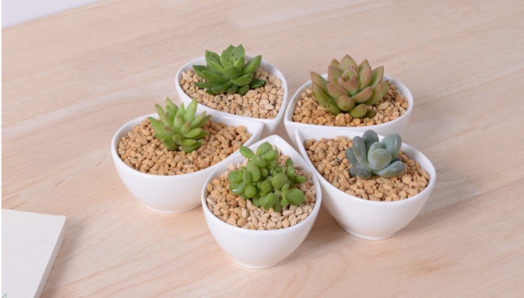 Schmuck charakteristische Pers&ouml;nlichkeit Desktop kleiner wei&szlig;er Blumentopf