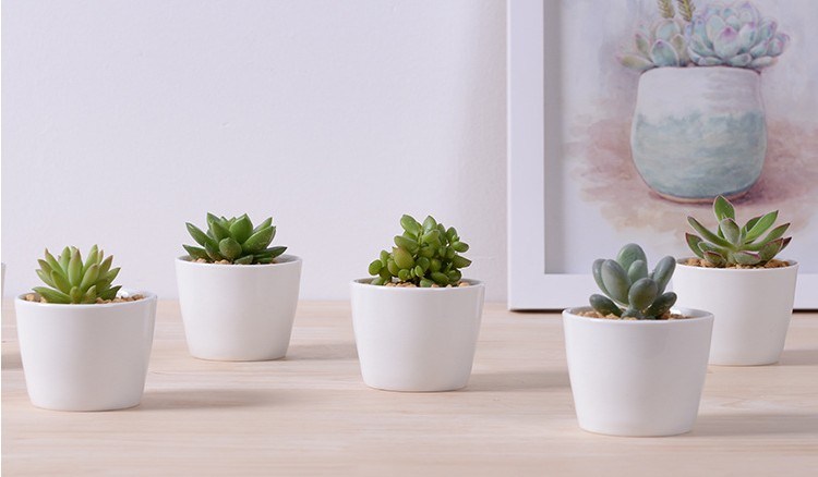 Dekorative Mini wei&szlig;e Keramik Blument&ouml;pfe rund