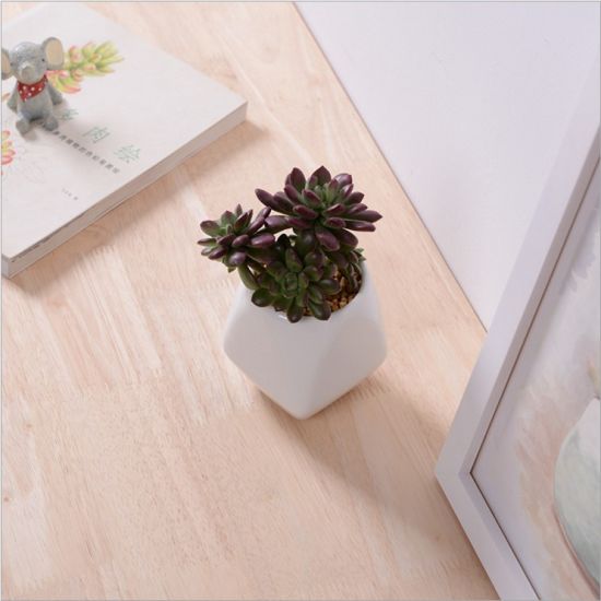 Keramik Weißer Blumentopf Mini Desktop Einrichtungsgegenstände
