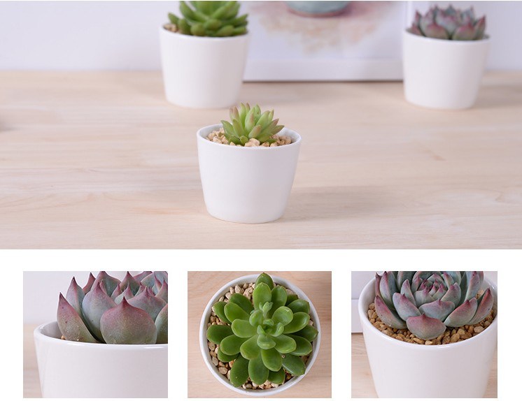 Mini personalisierte Keramik Olive Boat Shaped White Flowerpot