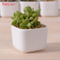 Kreative Desktop-Dekoration Mini White Ceramic Flower Pot