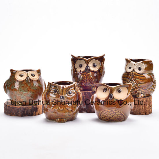 5 Design Keramik Cartoon Eule Pflanzer Porzellan Tier Blumentopf / C.