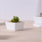 Weißer Keramik-Blumentopf mit dreieckigem Boden, verschiedene kalte Gerichte