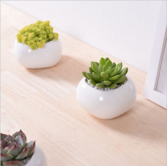 Kreativer quadratischer weißer Keramik-Blumentopf