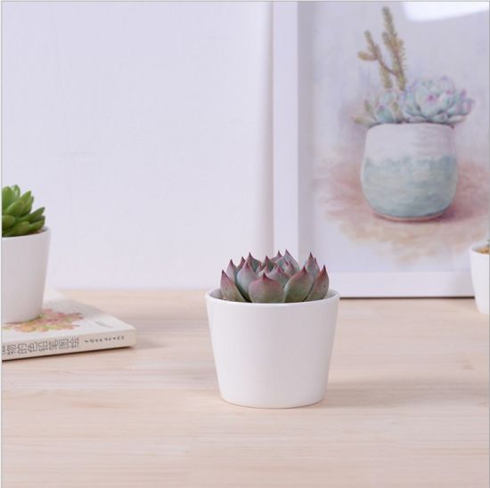 Großer runder Mini-Keramik-Blumentopf