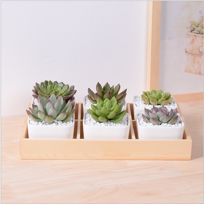 Desktop Cafe 6 Holzbasis Keramik Blumentopf Gitter