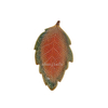 Verschiedene Farben Green Maple Leaf Keramikschale